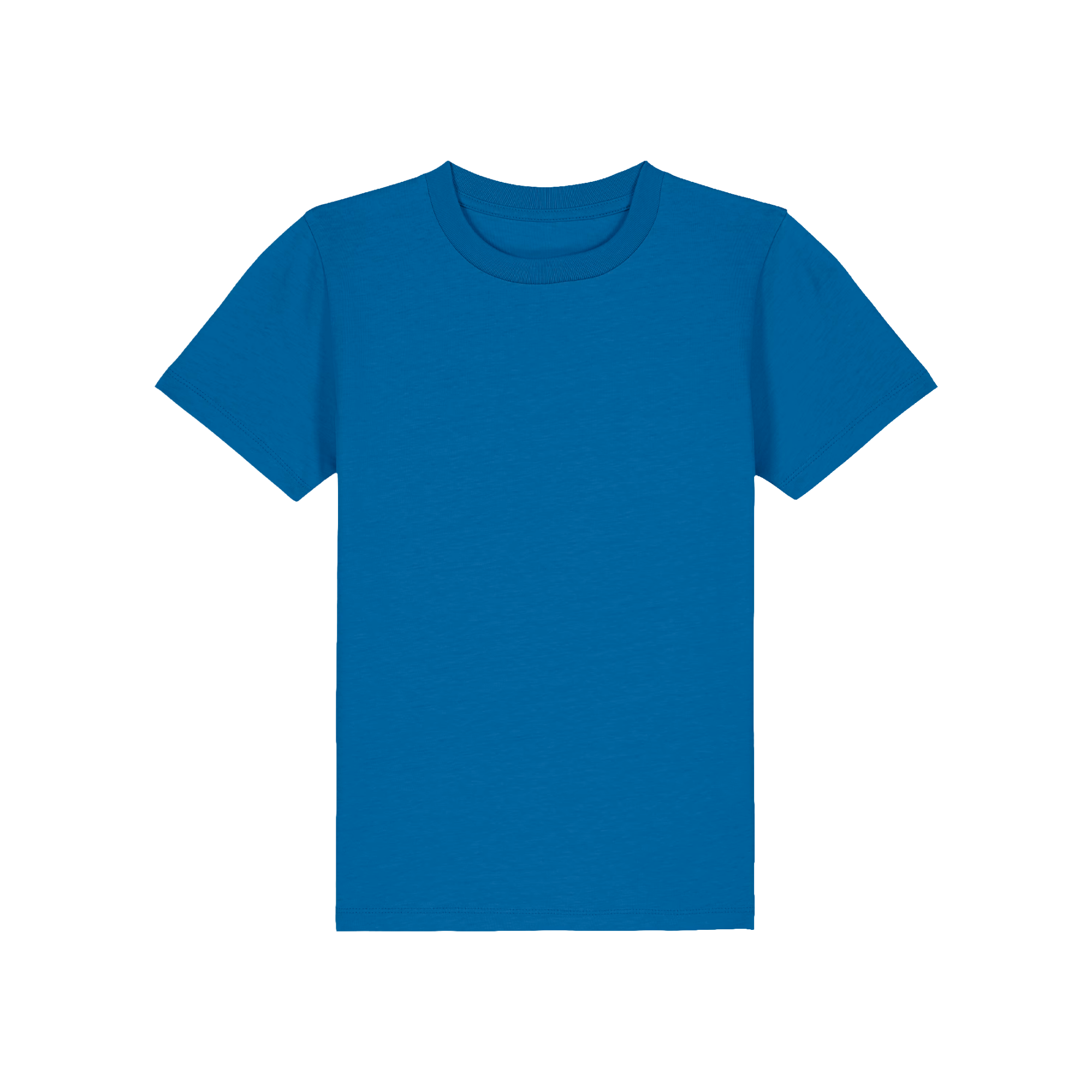 T-Shirt du MINI-GOAT